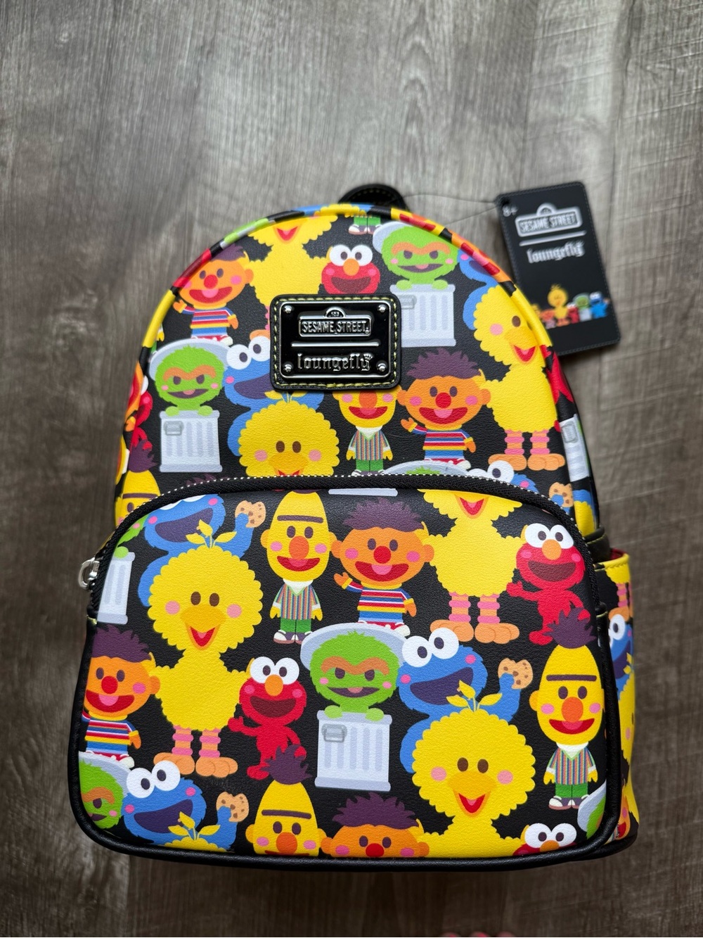 Sesame Street Character
Loungefly Mini Backpack